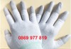 Găng tay chống tĩnh điện là gì? Chức năng của găng tay chống tĩnh điện